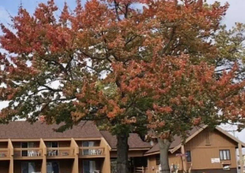Timber Inn Motel
