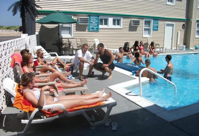 מוטל Desert Palm Inn