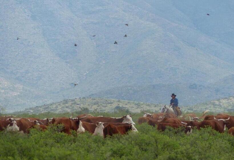 هتل Parker At Quarter Circle 7