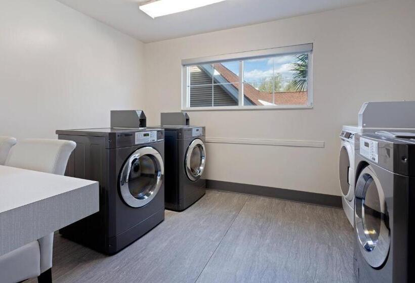 호텔 Residence Inn By Marriott Tampa At Usf/medical Center