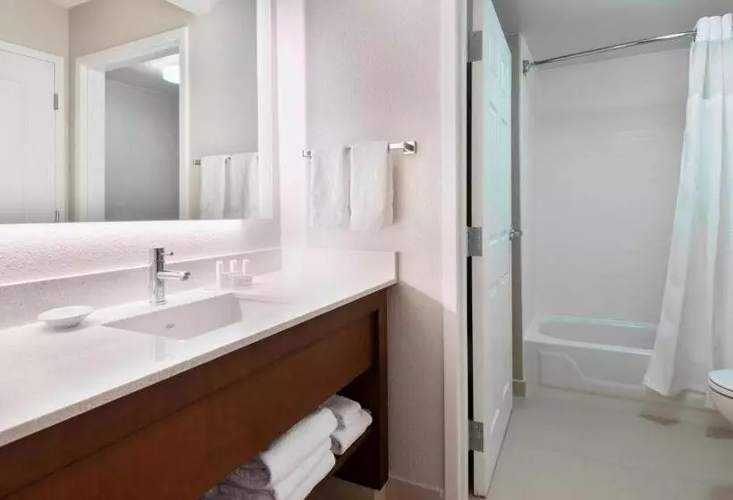 ホテル Residence Inn By Marriott Tampa At Usf/medical Center