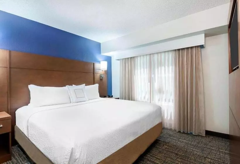 ホテル Residence Inn By Marriott Tampa At Usf/medical Center