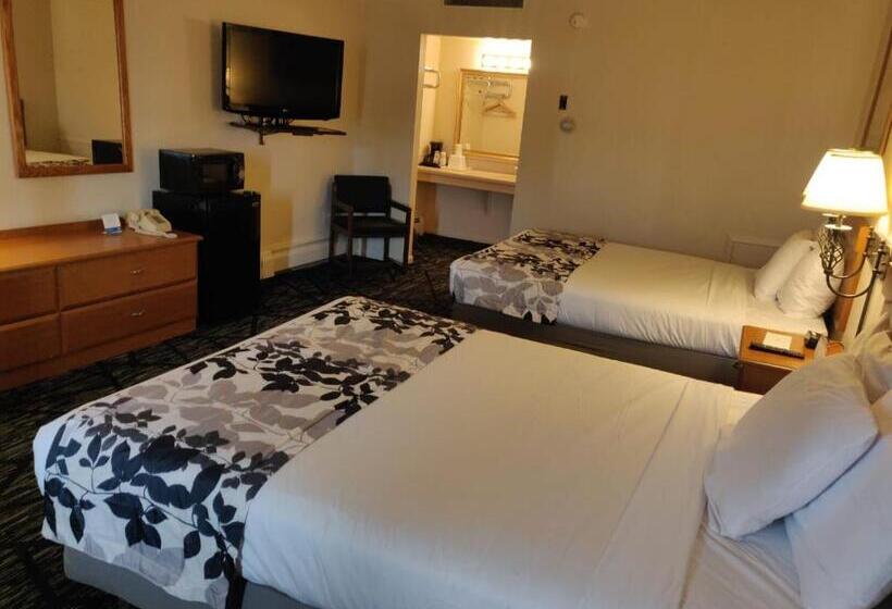 فندق على الطريق Skyline Motor Inn