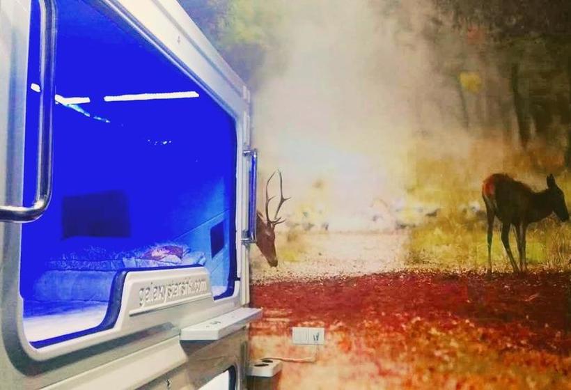 Wushe International Youth Hostel