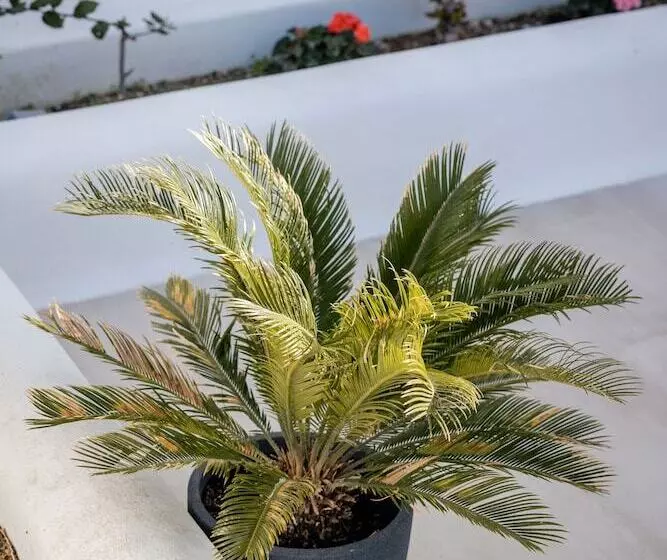 Majatalo Zannos Luxury Suites By Zannos Collection