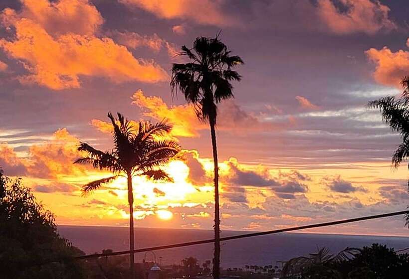 Dog Friendly San Diego Home 1 Mi To Ocean Beach