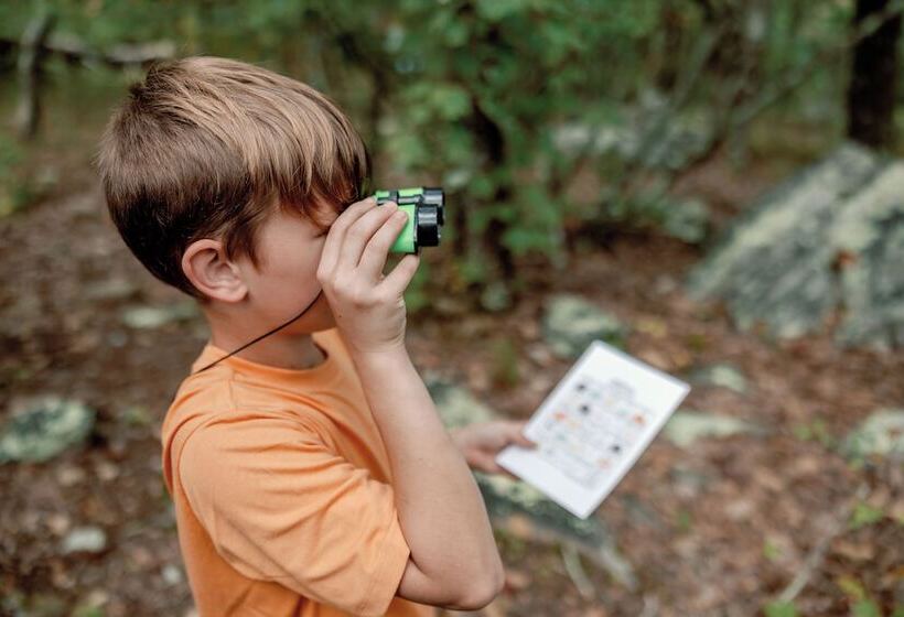 ホテル Timberline Glamping Cheaha