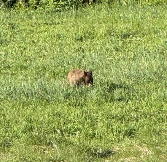 هتل Waterfront On Glacier