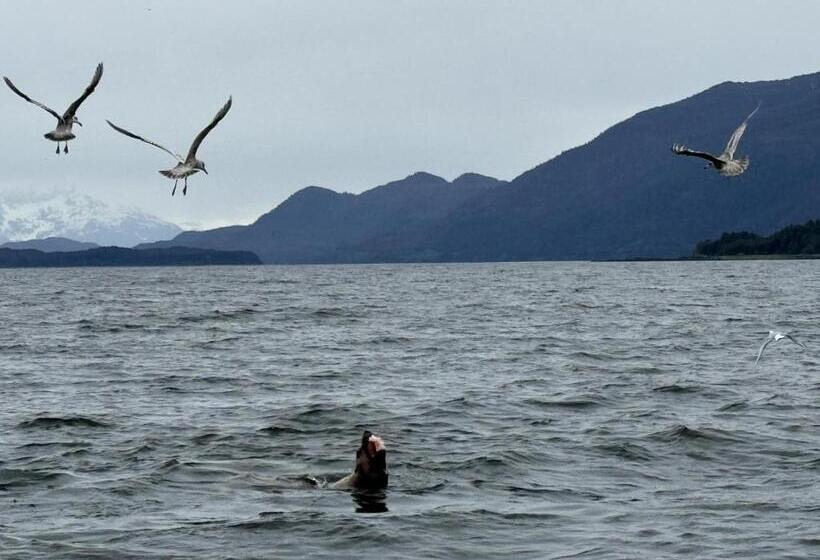 هتل Waterfront On Glacier