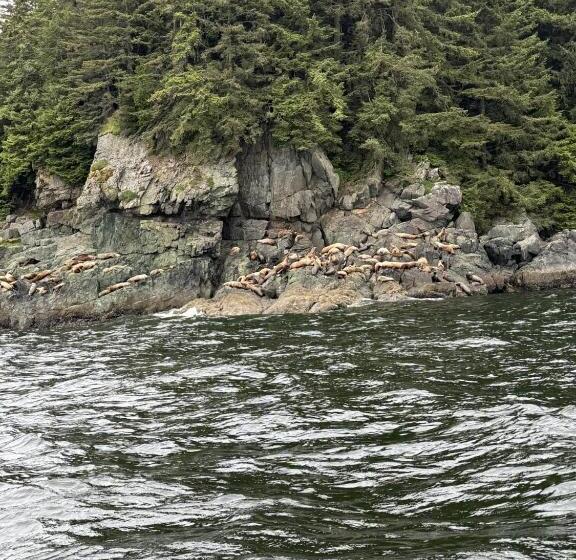 هتل Waterfront On Glacier