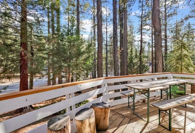 Mid Century Modern Chalet #1927