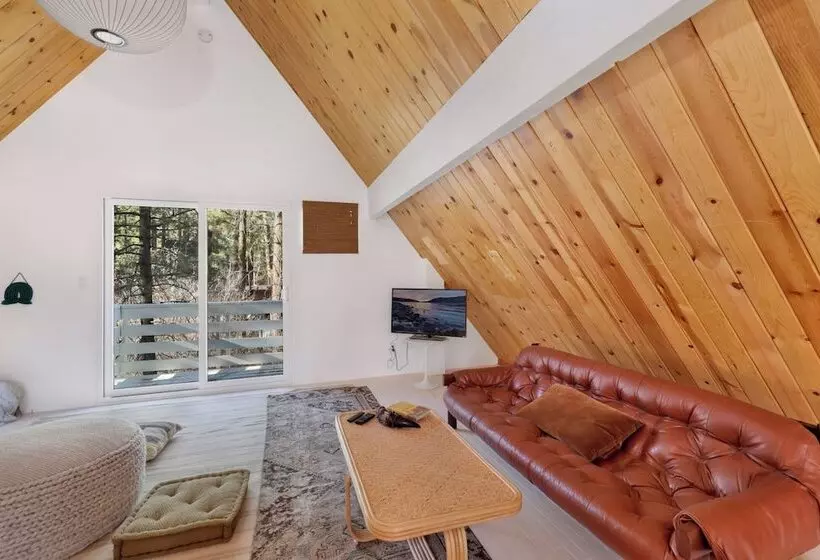 Mid Century Modern Chalet #1927