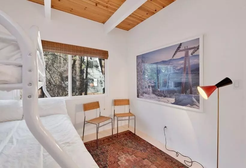 Mid Century Modern Chalet #1927