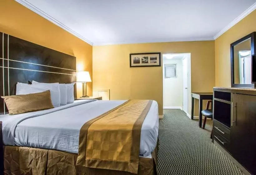 مُتل The Boards Ac