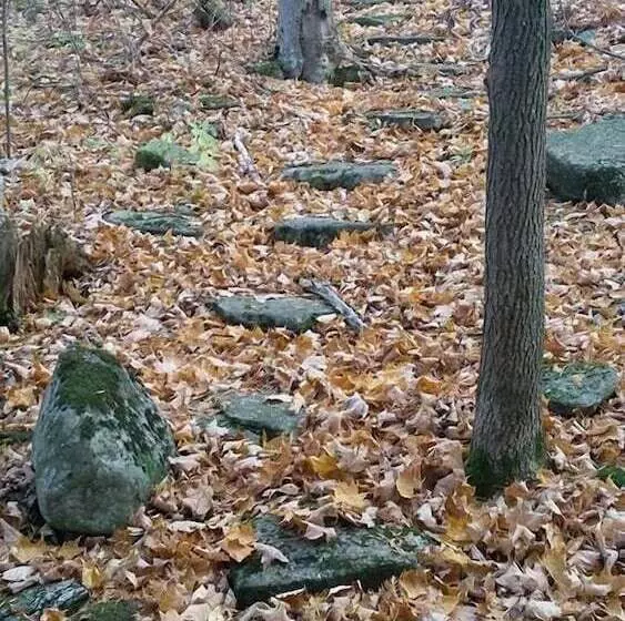 Aamiaismajoitus (B&B) Mapiya Retreat