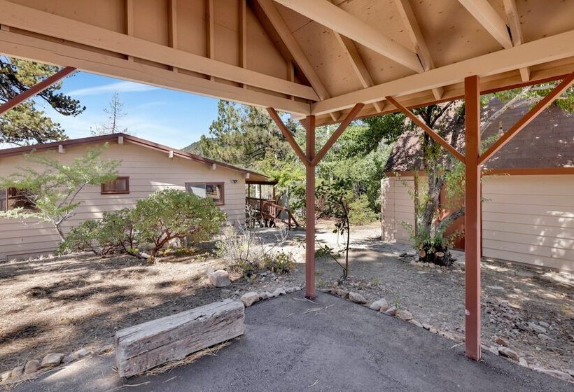 Cove Lakeview Cabin #2064