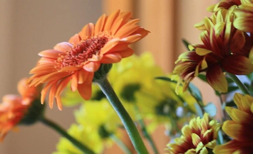 بنسيون Le Verre A Soi