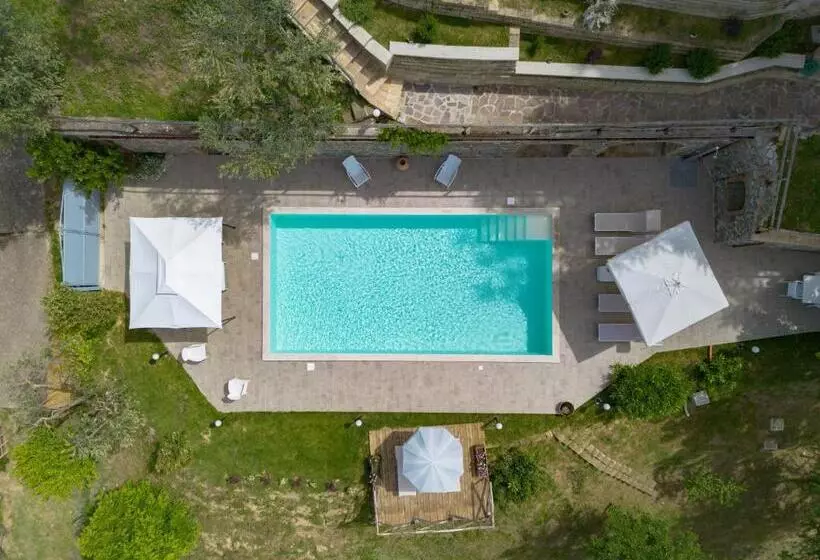ペンション Casale Belvedere   Salt Pool And Garden