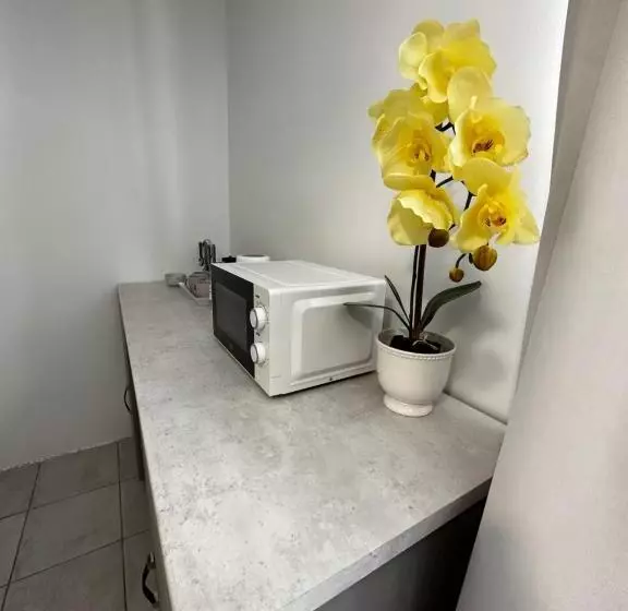 Aamiaismajoitus (B&B) Bed In Bethlehem