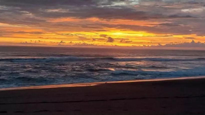 Bigwave Costa Rica