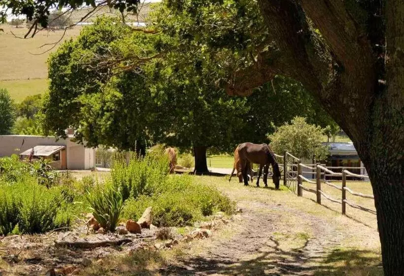 ホテル Kleinwatervalplaas Farm Stay Accomodation