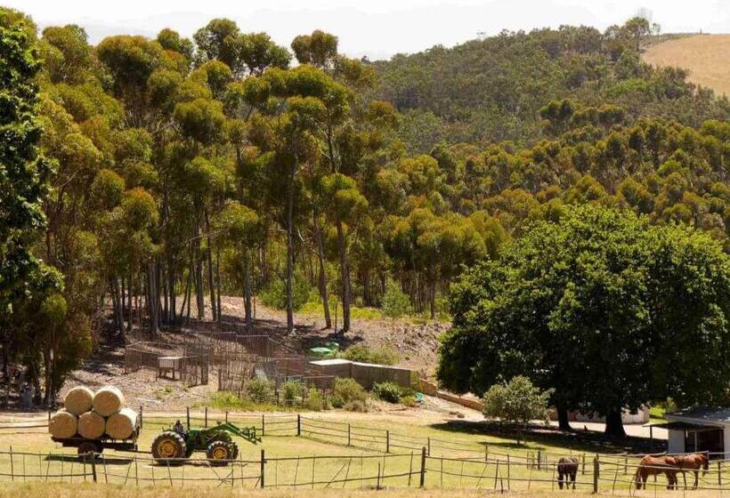酒店 Kleinwatervalplaas Farm Stay Accomodation