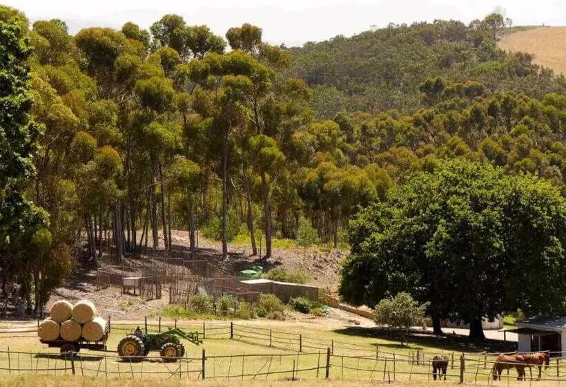 ホテル Kleinwatervalplaas Farm Stay Accomodation