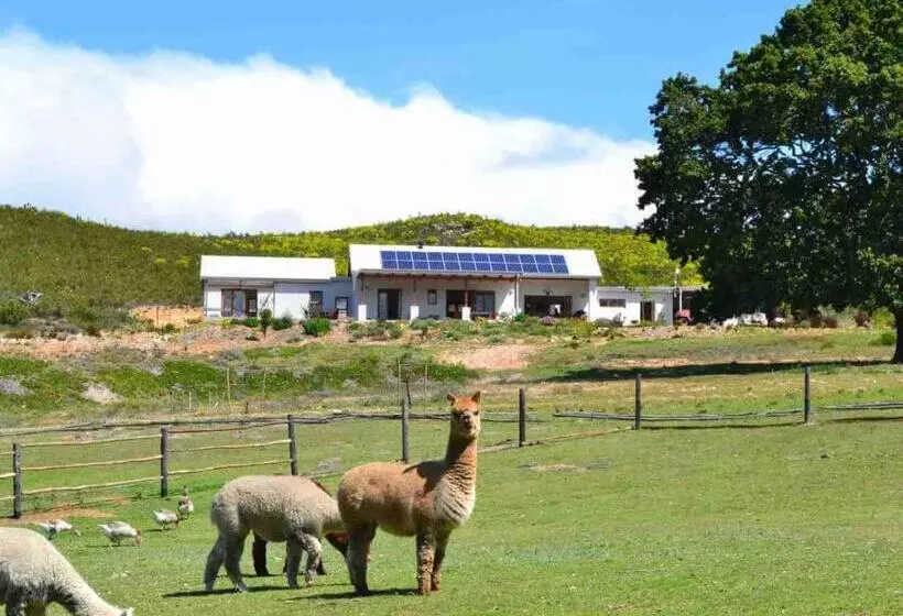 ホテル Kleinwatervalplaas Farm Stay Accomodation