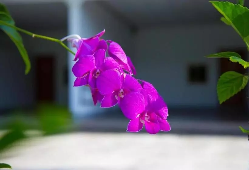 Tawanchay Hotel Phatthalung