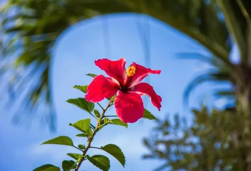 Tawanchay Hotel Phatthalung