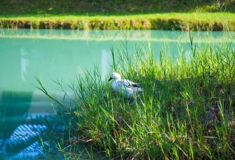 Tawanchay Hotel Phatthalung