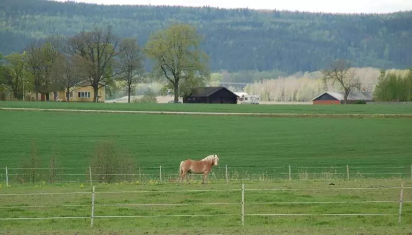 ホテル Vallby Farm Camp