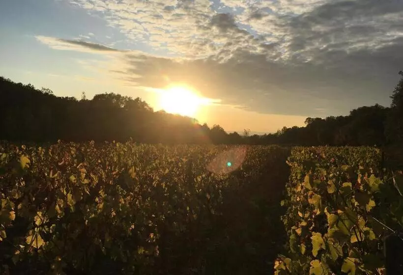 Mas De La Rivoire B&b