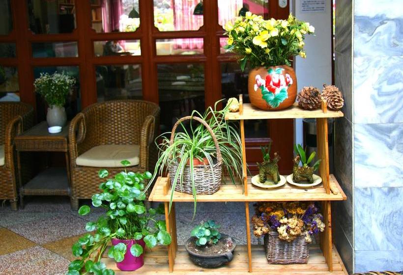 酒店 Dali Lao Shay Youth Hostel