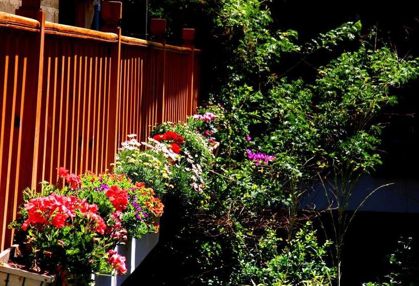 Отель Dali Lao Shay Youth Hostel