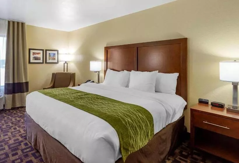 Hotelli Comfort Inn & Suites North Aurora Naperville