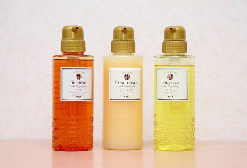 Coto Kyoto Kinkakuji