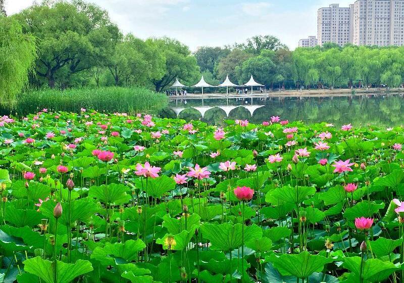 酒店 Hanting Hohhot Zhongshan West Road