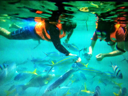 ホテル Marina Bay Resort & Restaurant