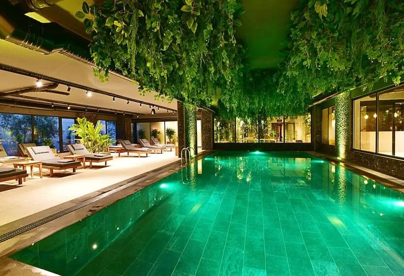 Jasmin Elite Residence & Spa