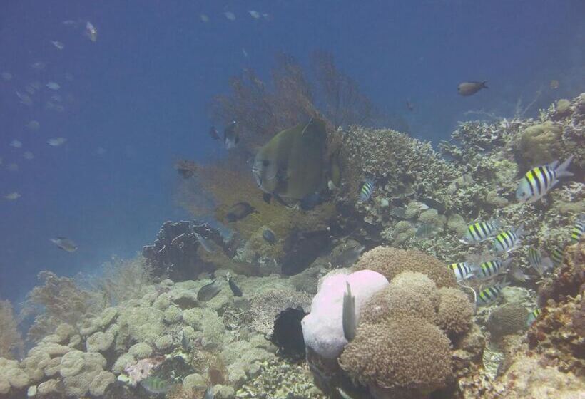 펜션 Pande Guest House