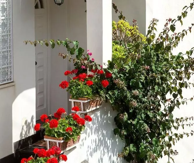 Riolinciano14 B&b