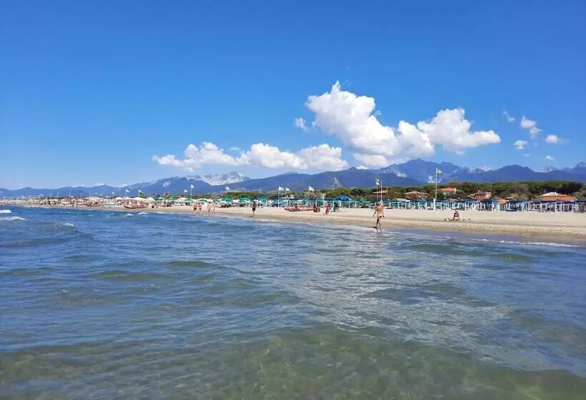 Art Hotel Pietrasanta