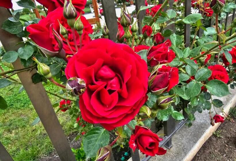 Diamond Beach Sarafovo By Kp