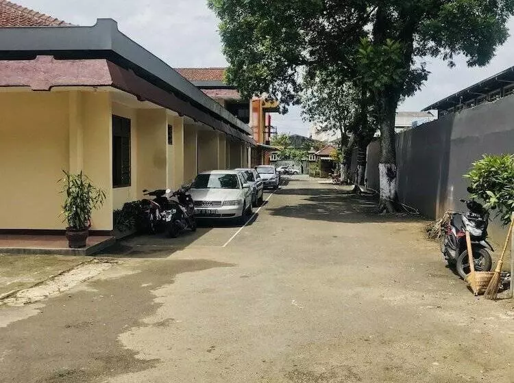 Szálloda Palapa