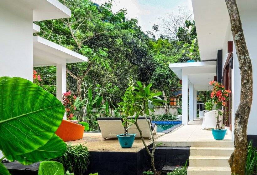 ペンション Villa Collard