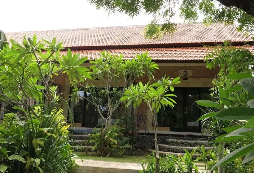 Sea Hua Ha Ha   Hostel