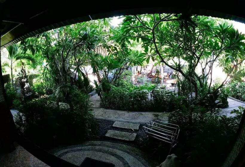 Sea Hua Ha Ha   Hostel