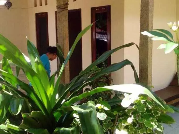 Sea Hua Ha Ha   Hostel