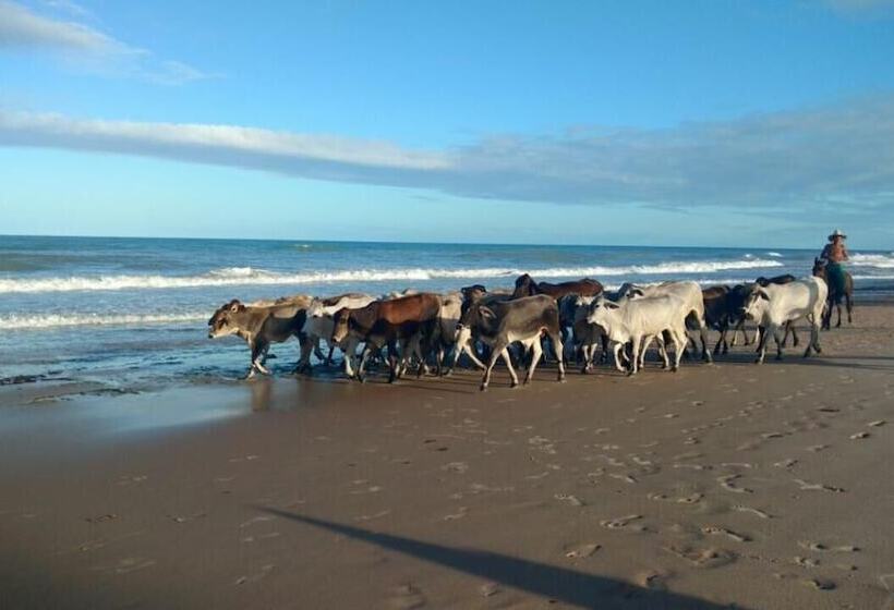 호텔 Portal Do Mar